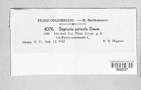 Image Associated With the Occurence